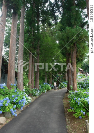 Takahara-in (Iiyama-shi, Nagano Prefecture) 18596552