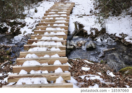 雪的起源的Katoriyama山樹路 18597060