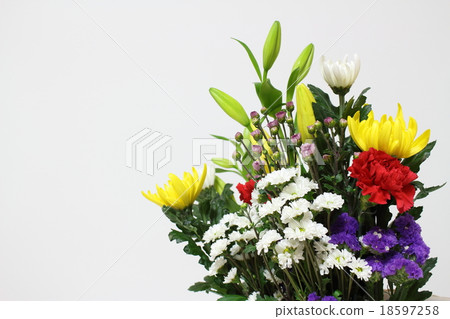 供應鮮花 18597258