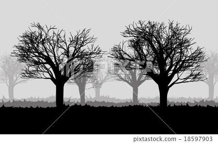 forest in the dark mist, trees silhouettes forest in the dark mist, trees silhouettes 18597903