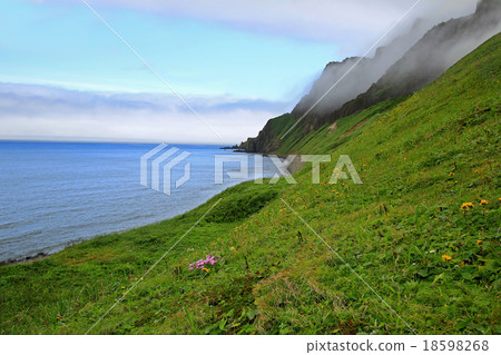 Rebun Island, Hokkaido 18598268