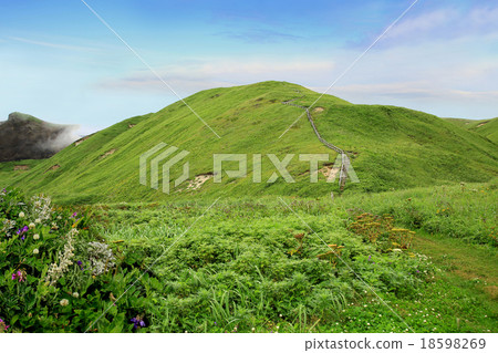 Rebun Island, Hokkaido 18598269