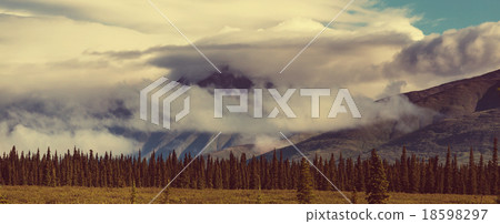 Denali highway 18598297