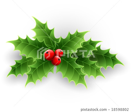 Christmas Holly Berry.  18598802