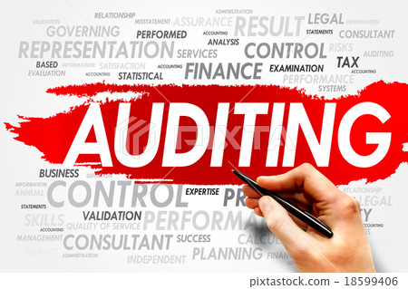 AUDITING 18599406