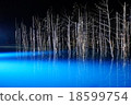 Blue pond light up 18599754