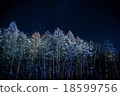 Winter starry sky 18599756
