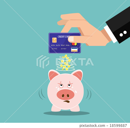 piggy with creditcard piggy with creditcard 18599887
