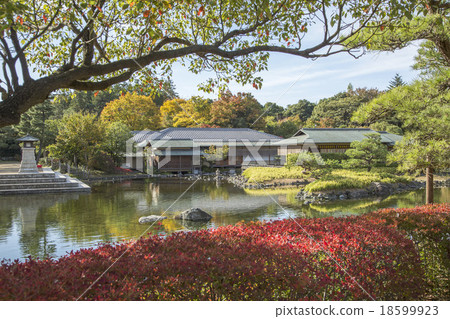 Swan garden Autumn leaves 18599923