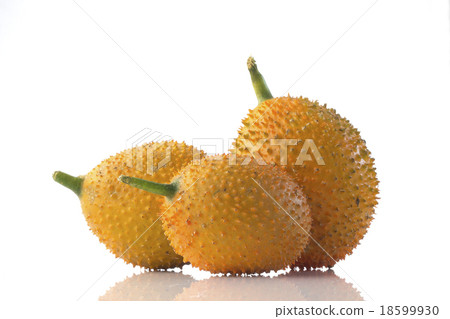 baby jack fruit / spiny bitter gourd 18599930