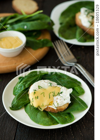 Poached egg on a piece of bread with spinach 18605329