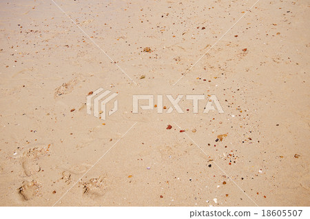 Sand beach texture Sand beach texture 18605507