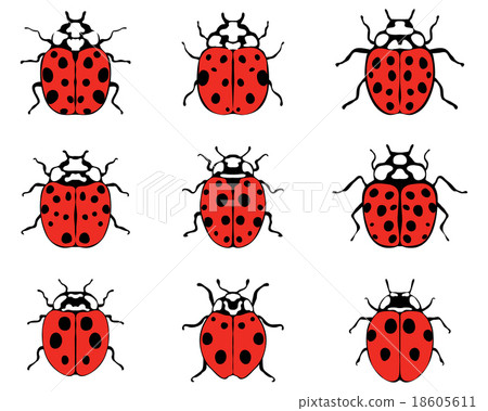 cheerful ladybugs cheerful ladybugs 18605611