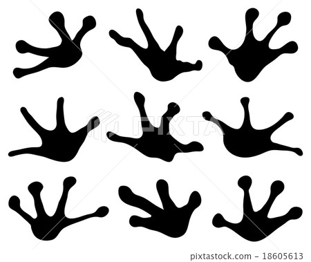 footprints of frogs 18605613