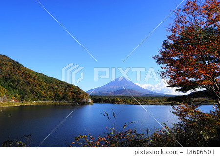 November Fuji 1020 Shimbun Lake of autumn leaves 18606501