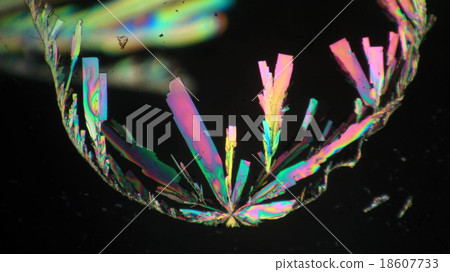 Crystal micrograph of vitamin c 18607733