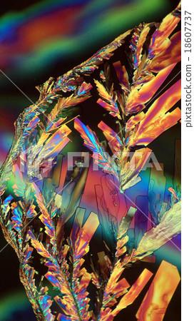 Crystal micrograph of vitamin c Crystal micrograph of vitamin c 18607737