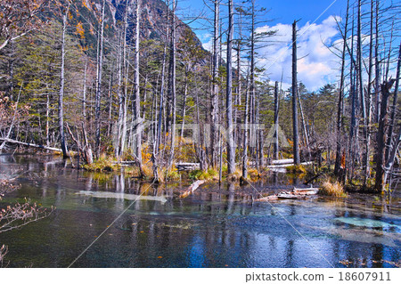 Kamikochi Dakesawa Marsh 18607911