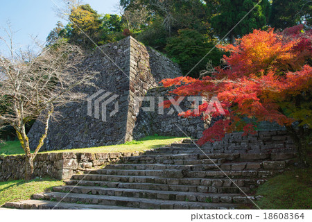 Autumn's Hitoyoshi Castle Ruins 18608364