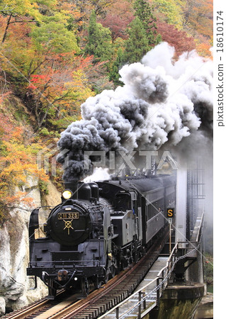Autumnal Today Line SL 18610174