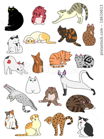 Cats pose set 18610613