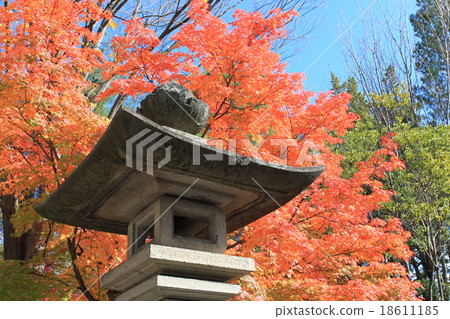 Lantern and autumn leaves Lantern and autumn leaves 18611185