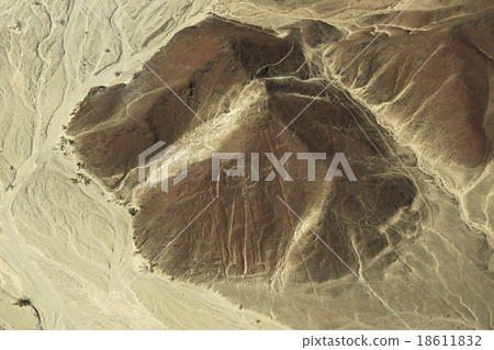 Nazca Lines 18611832