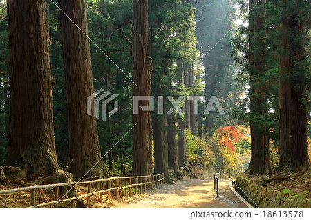 Hiraizumi Chusonji秋葉，世界遺產名錄站點 18613578