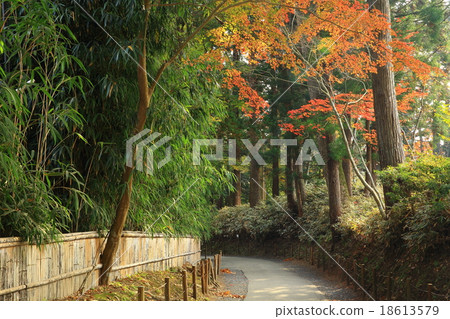 Hiraizumi Chusonji秋葉,世界遺產名錄站點 Hiraizumi Chusonji秋葉,世界遺產名錄站點 18613579