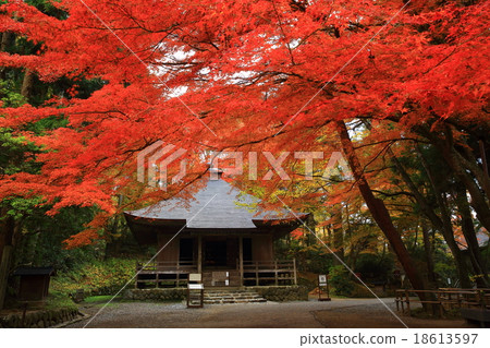 Autumn leaves of Hiraizumi Chusonji, a World Heritage Site Autumn leaves of Hiraizumi Chusonji, a World Heritage Site 18613597