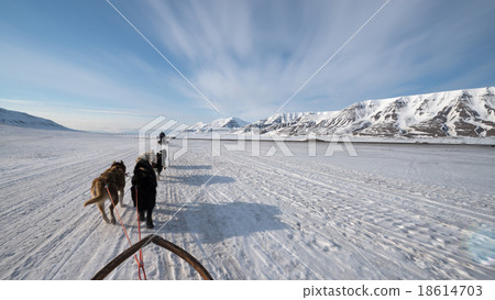 Dog sled tour across a barren winter landscape 18614703