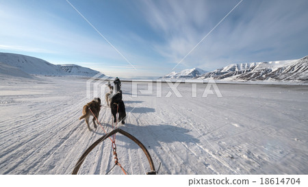 Dog sled tour across a barren winter landscape Dog sled tour across a barren winter landscape 18614704