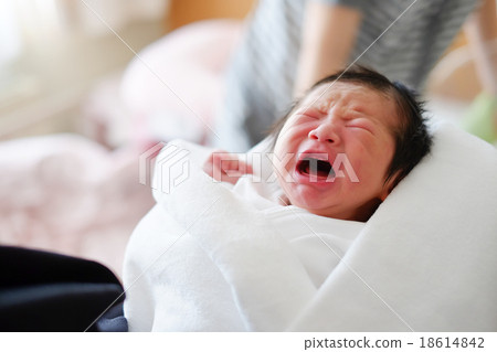 剛出生的嬰兒 剛出生的嬰兒 18614842