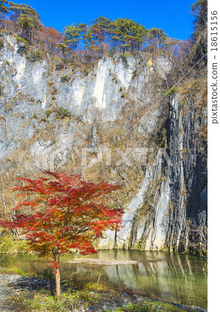 晚秋米糕 18615156