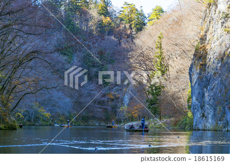 晚秋米糕 18615169