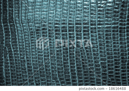 Blue reptile leather texture background Blue reptile leather texture background 18616488