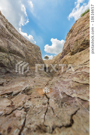 tree on a background of blue sky tree on a background of blue sky 18616657