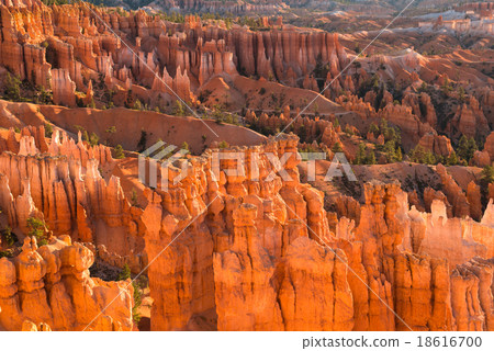 Bryce Canyon National Park, Utah, USA Bryce Canyon National Park, Utah, USA 18616700