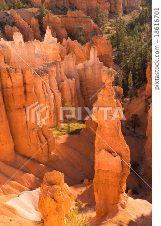 Bryce Canyon National Park, Utah, USA Bryce Canyon National Park, Utah, USA 18616701