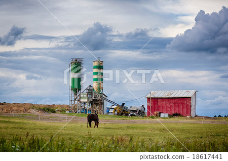 Frisian horse on the meadow Frisian horse on the meadow 18617441