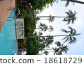 tropical 18618729