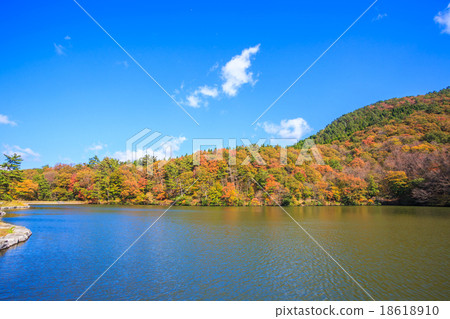 大野池塘在秋天 18618910