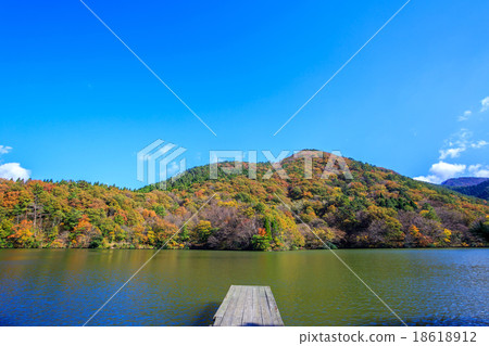 大野池塘在秋天 18618912
