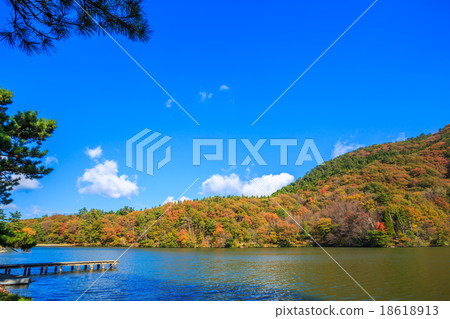 大野池塘在秋天 18618913