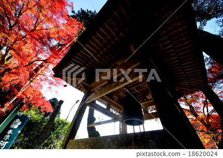 Fukutsuji秋葉 18620024