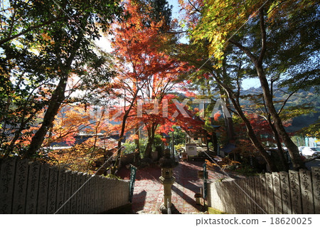 Fukutsuji秋葉 18620025