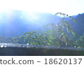 Xiangyang 18620137