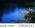 Xiangyang 18620141