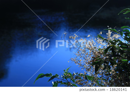 向陽 向陽 18620141