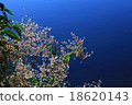 Xiangyang 18620143